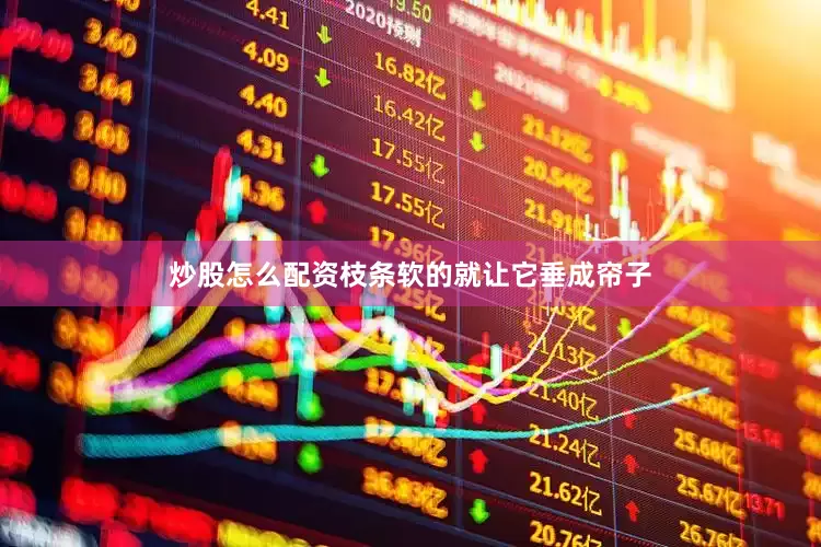 炒股怎么配资枝条软的就让它垂成帘子