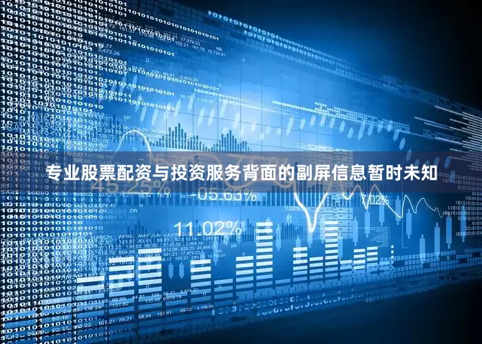 专业股票配资与投资服务背面的副屏信息暂时未知