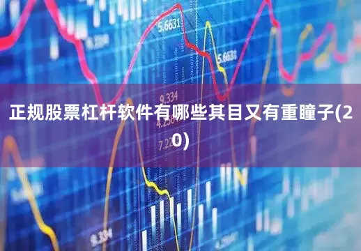 正规股票杠杆软件有哪些其目又有重瞳子(20)